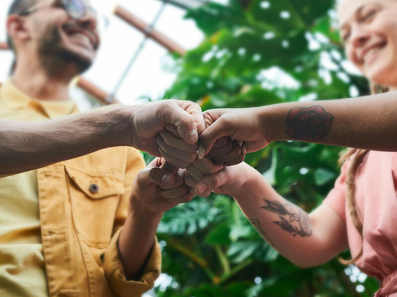 Vier Personen führen vor einer Pflanze lächelnd einen Teamwork-Faustgruß aus, symbolisch für Zusammenarbeit.